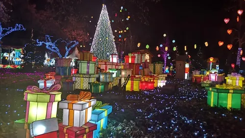 Metz : Nos photos du Sentier des Lanternes édition 2021